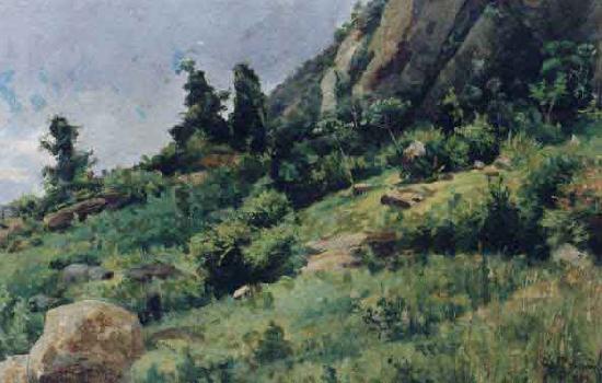 Johann Georg Grimm Trecho de paisagem Norge oil painting art